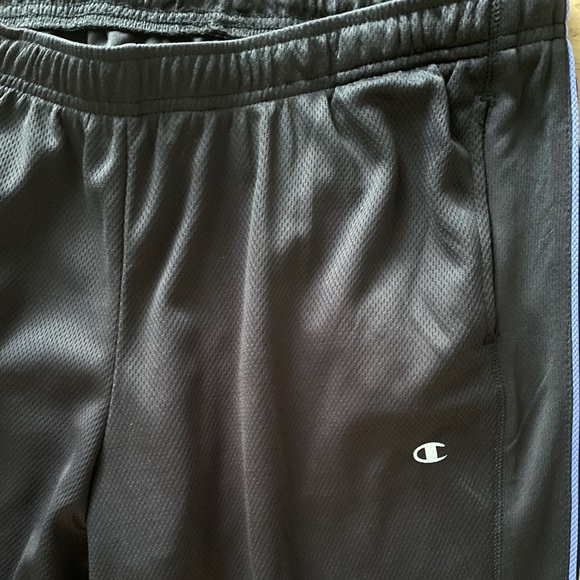 Champion Men’s Vapor PowerTrain Athletic Pants L - Picture 3 of 5